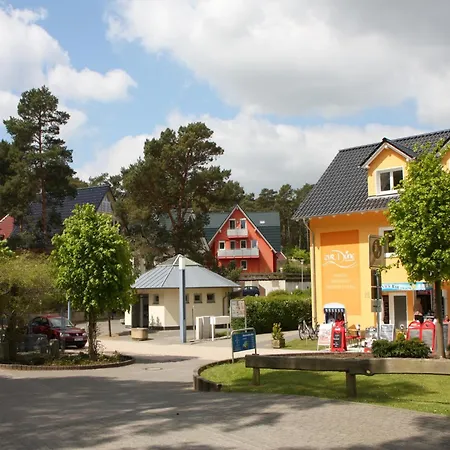 In * Trassenheide
